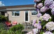 Common Space 6 Ballyroan - Peaceful Dog Friendly Cottage