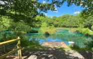 Swimming Pool 2 Converted French bus With Stunning Views