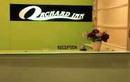 Lobi 4 Orchard Inn