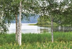 Others 5 Beautiful Home in Åmotsfors With 2 Bedrooms