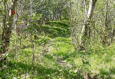 Others 7 Awesome Apartment in Svortevik With 1 Bedrooms and Wifi
