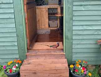 Bên ngoài 2 Stunning 1-bed Shepherd hut in Holyhead