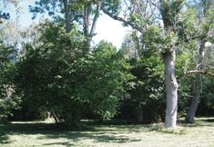Others 3 Beautiful Home in Gotlands Tofta With 2 Bedrooms and Wifi