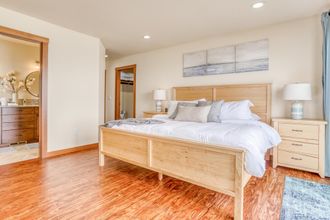 기타 4 The Salt Life