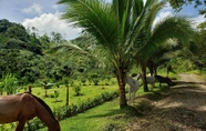 Others 3 Cabañas Caeli Rainforest Glass Cabin El Congo La Fortuna