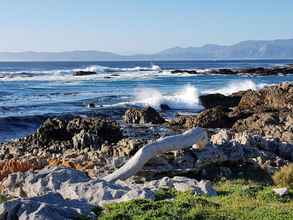 Lainnya 4 Royal Whale Watching Gansbaai