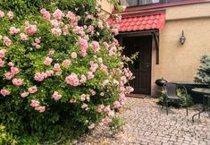 Others 2 W Starym Sadzie