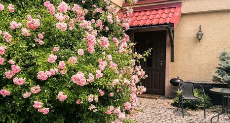 Others 2 W Starym Sadzie