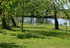 Others 6 Br Zowe Radomice in Radomice