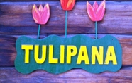 อื่นๆ 3 Tulipana Berther Tujetsch