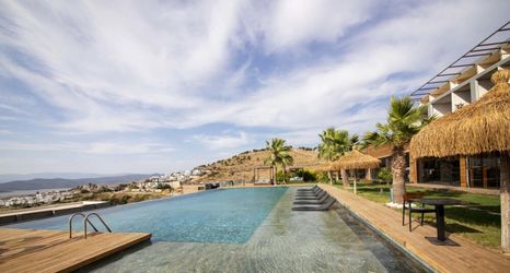 Others 2 Comfy Villa With Shared Pool and Gym in Milas