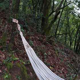 Charming 6-bed Cottage in Geres National Park 1, Hotel Ruivães