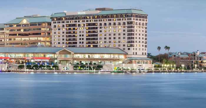 Khác The Westin Tampa Waterside