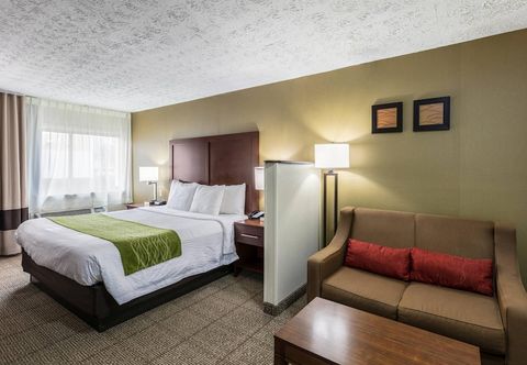 其他 Comfort Inn Medford - Long Island