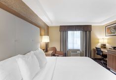 其他 4 Best Western Summit Inn