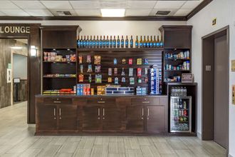 其他 4 Best Western Plus Lake Front Hotel