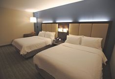 其他 4 Holiday Inn Express ANDERSON-I-85 (EXIT 27-HWY 81) by IHG, an IHG Hotel