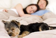 其他 5 Ocean Star Inn