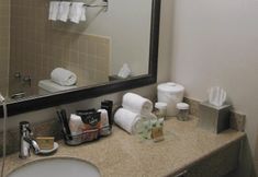 その他 5 Best Western Plus Kingston Hotel And Conference Center