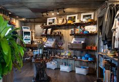 その他 3 Campfire Hotel