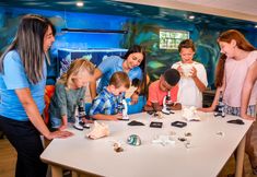 อื่นๆ 7 Hotel del Coronado, Curio Collection by Hilton