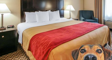 其他 2 Comfort Inn Troutdale - Portland East