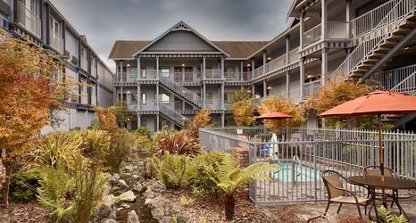 其他 2 Best Western Plus Bayshore Inn