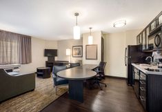 其他 7 Sonesta Simply Suites Dallas Las Colinas
