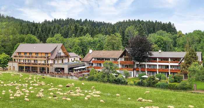 Lain-lain Hotel Grüner Wald