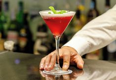 其他 2 Olissippo Marques de Sa