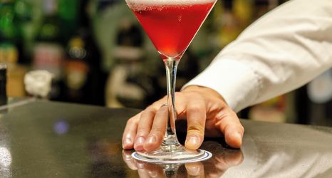 其他 2 Olissippo Marques de Sa