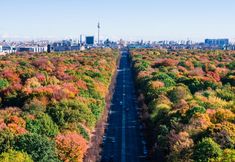 その他 7 Grand Hyatt Berlin