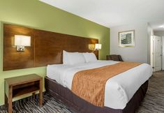 기타 7 Comfort Inn & Suites North Little Rock JFK Blvd