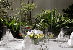 其他 4 Airotel Parthenon