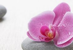 기타 2 Westchester Marriott