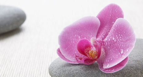 기타 2 Westchester Marriott