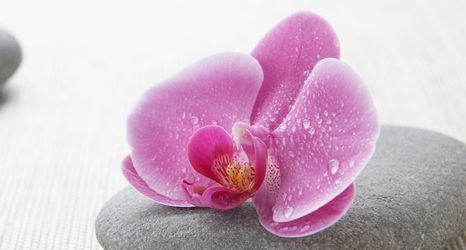 อื่นๆ 2 Westchester Marriott