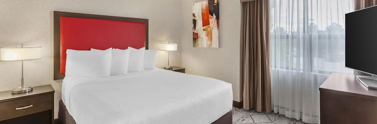 其他 Best Western Plus Rose City Suites