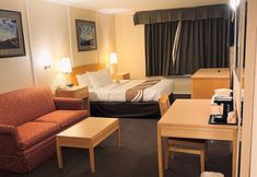 其他 7 Quality Inn & Suites