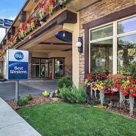 Primary image 1 Best Western Driftwood Inn, Idaho Hotels