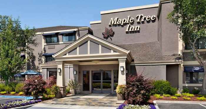 Others Maple Tree Inn