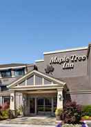 Imej utama Maple Tree Inn