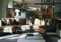 Lainnya 4 The Cambrian