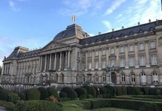 기타 5 The Usual Brussels