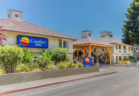 Others Comfort Inn Santa Cruz