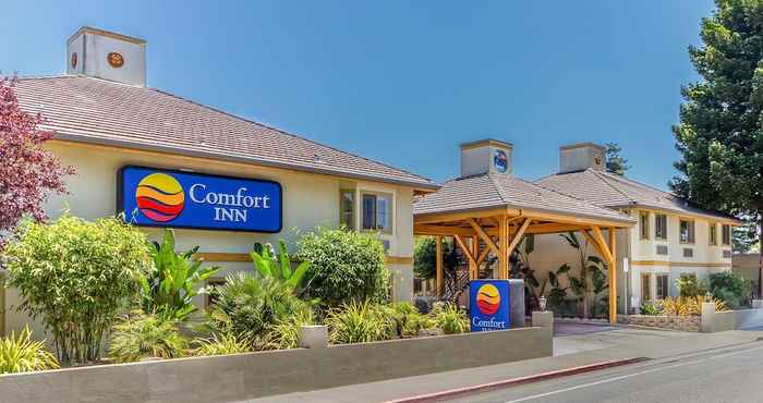 Lain-lain Comfort Inn Santa Cruz