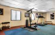 Lain-lain 2 Quality Inn & Suites Binghamton Vestal