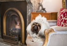 기타 4 The Hughenden Boutique Hotel