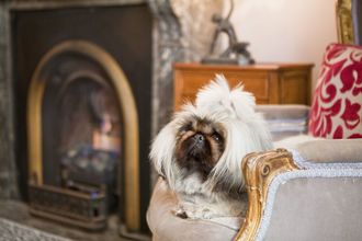 기타 4 The Hughenden Boutique Hotel