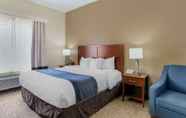 Others 5 Comfort Inn & Suites